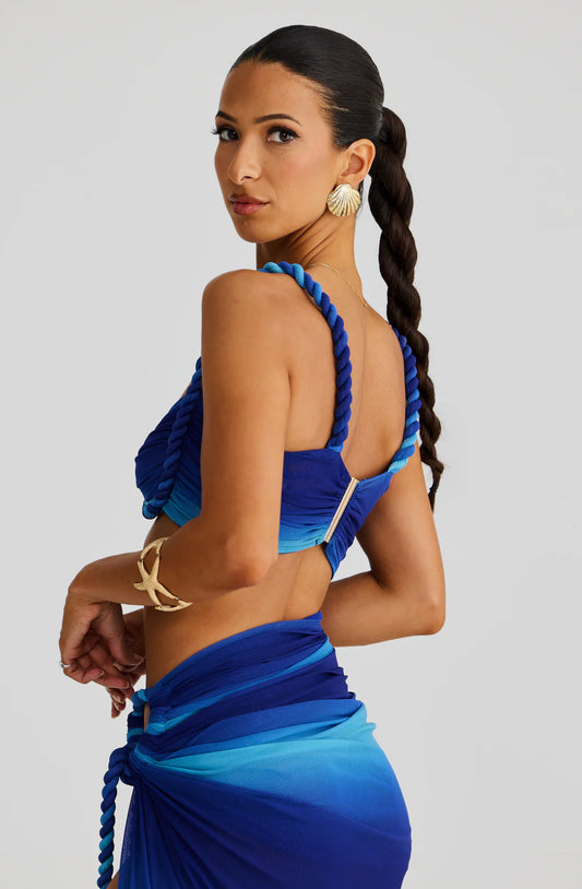 Set CLEO